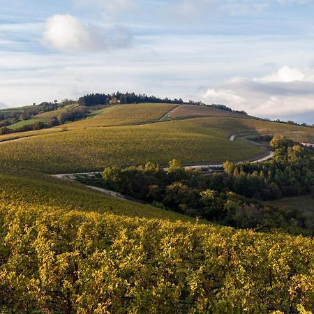 Ca' Del Moro Wine Retreat 호텔 그레짜나 외부 사진