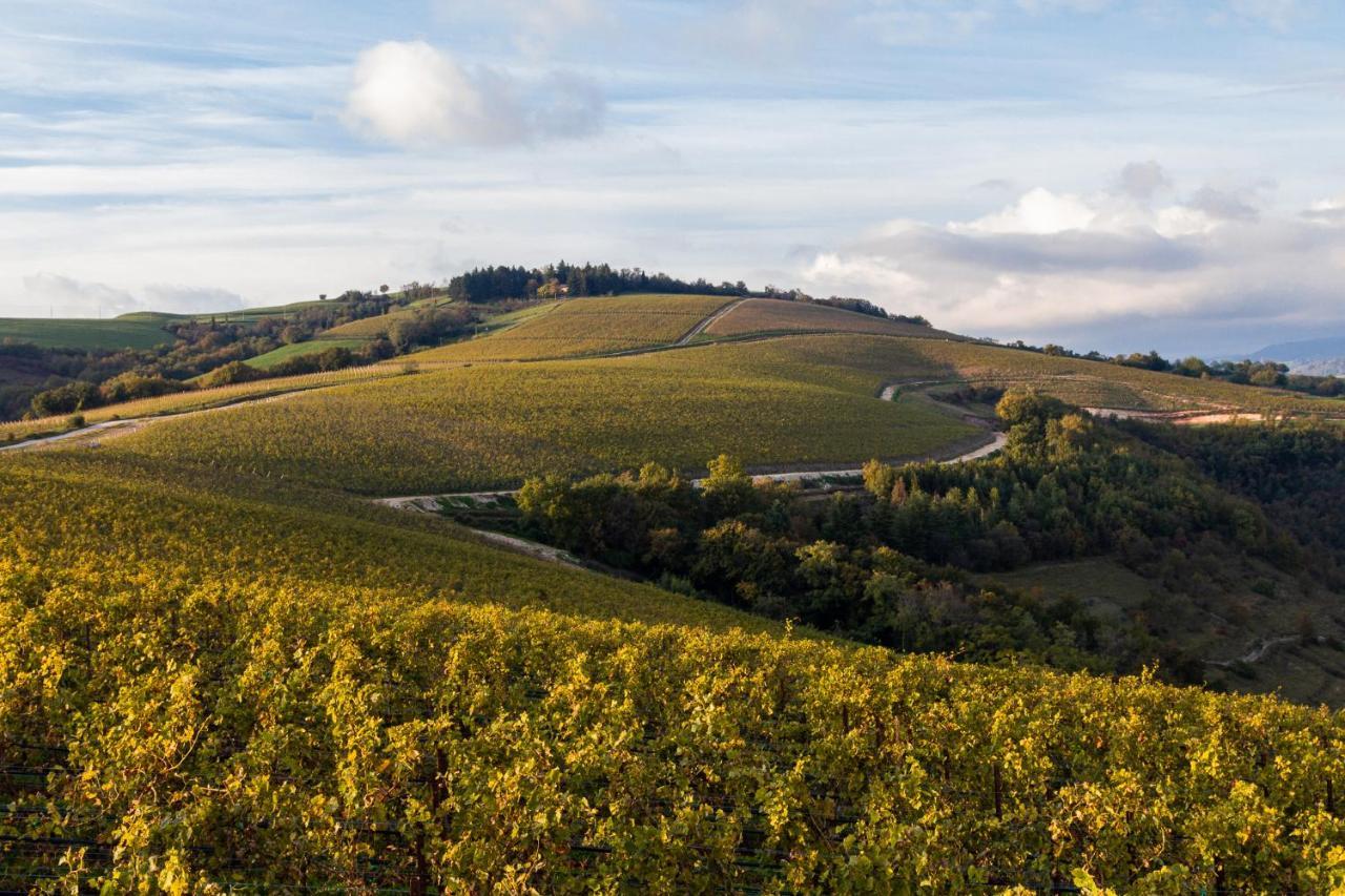 Ca' Del Moro Wine Retreat 호텔 그레짜나 외부 사진